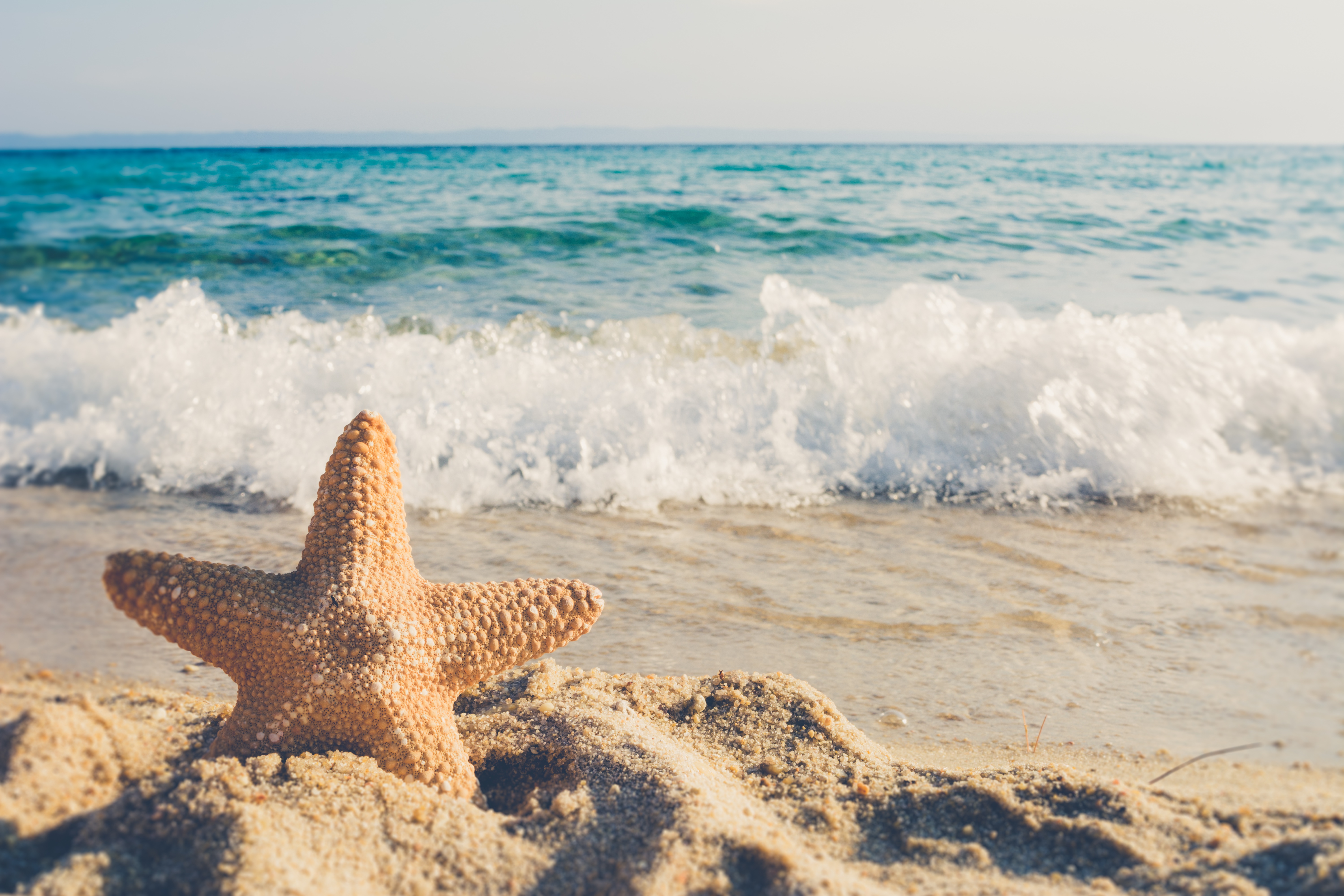 Sandy beach with waves
